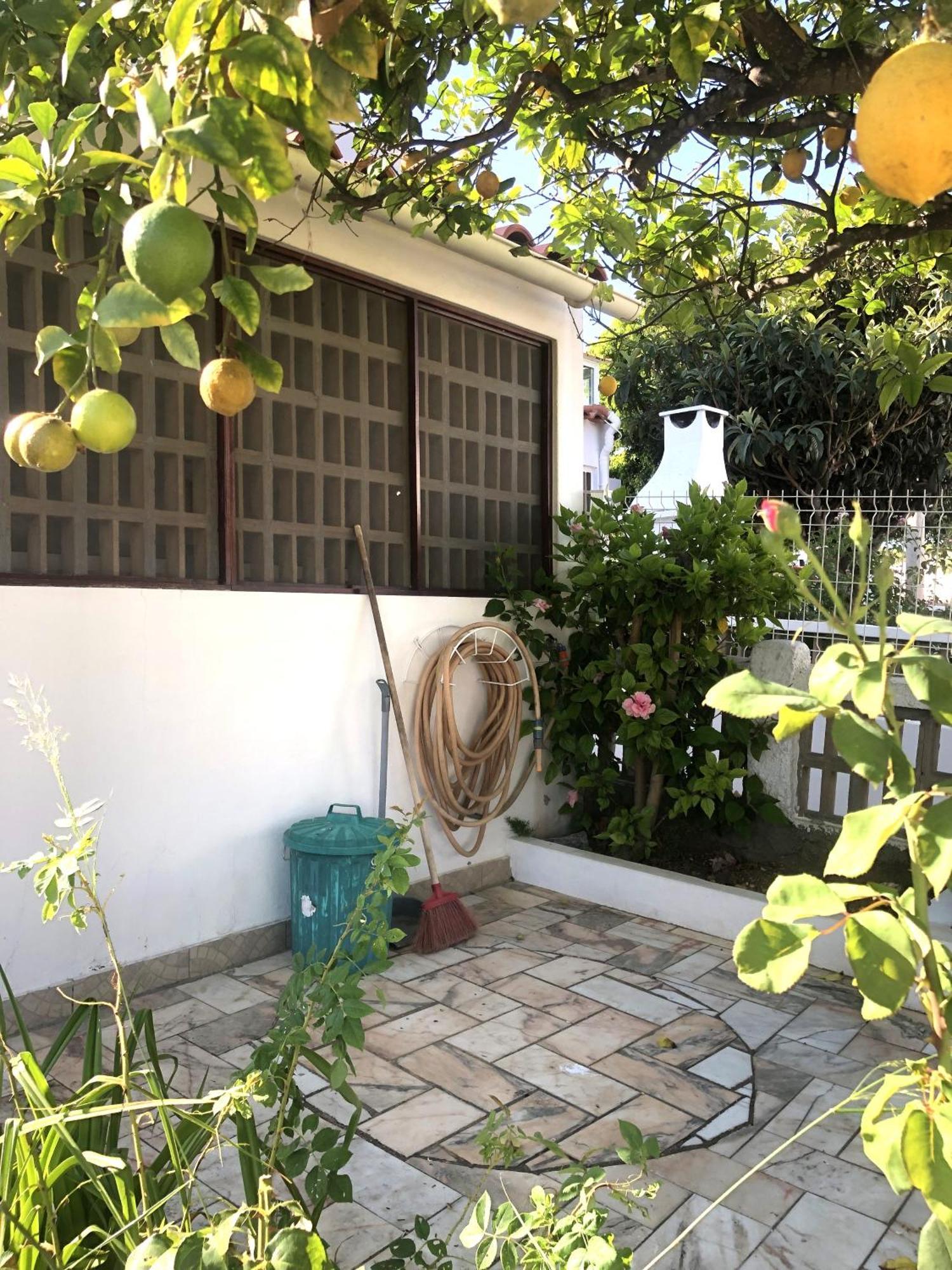 הוילה אלבופיירה Casa Do Limoeiro מראה חיצוני תמונה